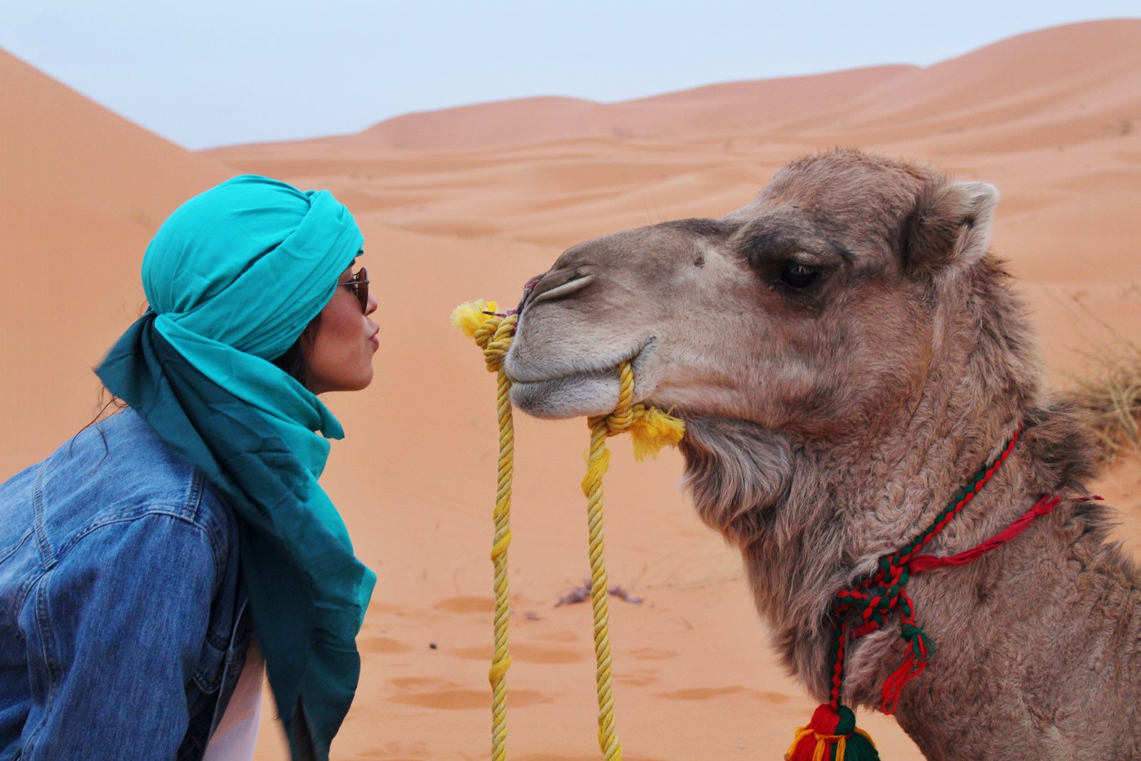 Paseo en camello por el Sahara de Marruecos